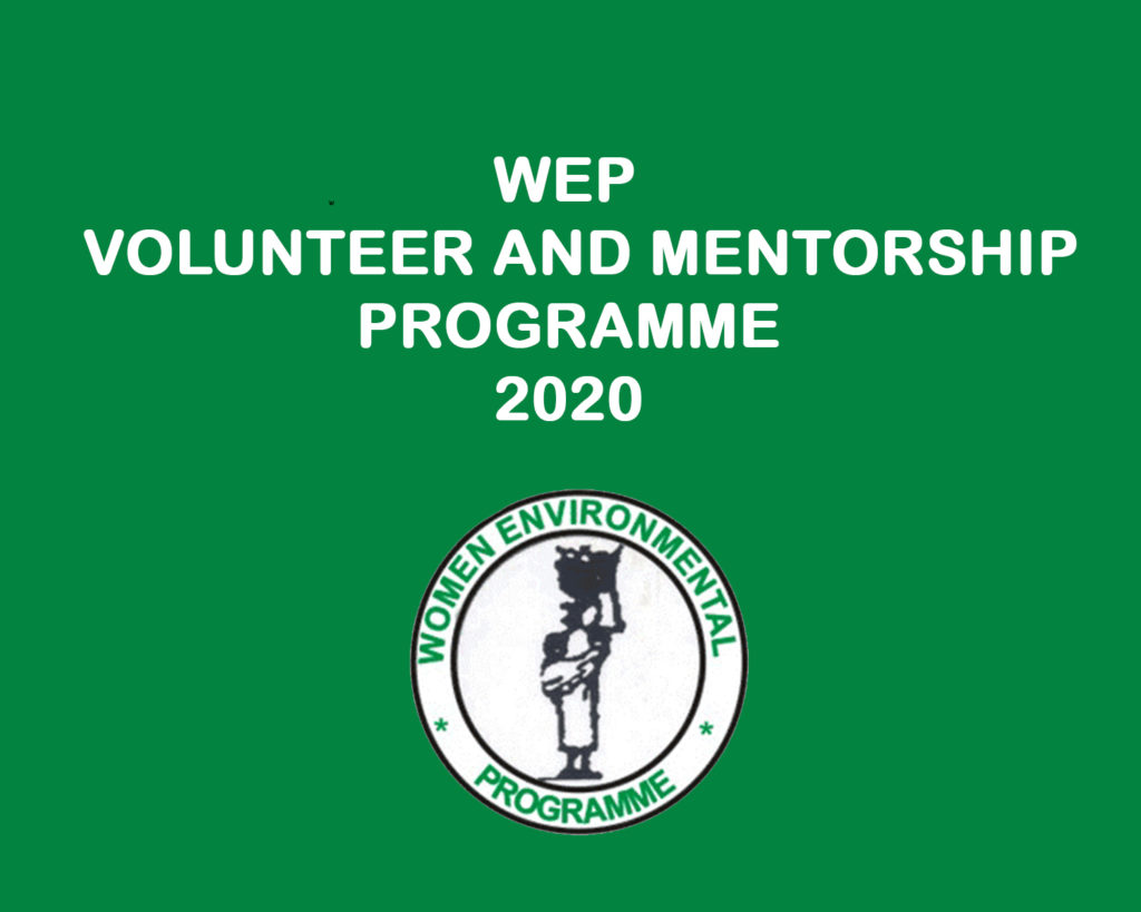 List of Successful Applicants for WEP Volunteer and Mentorship Programme 2020