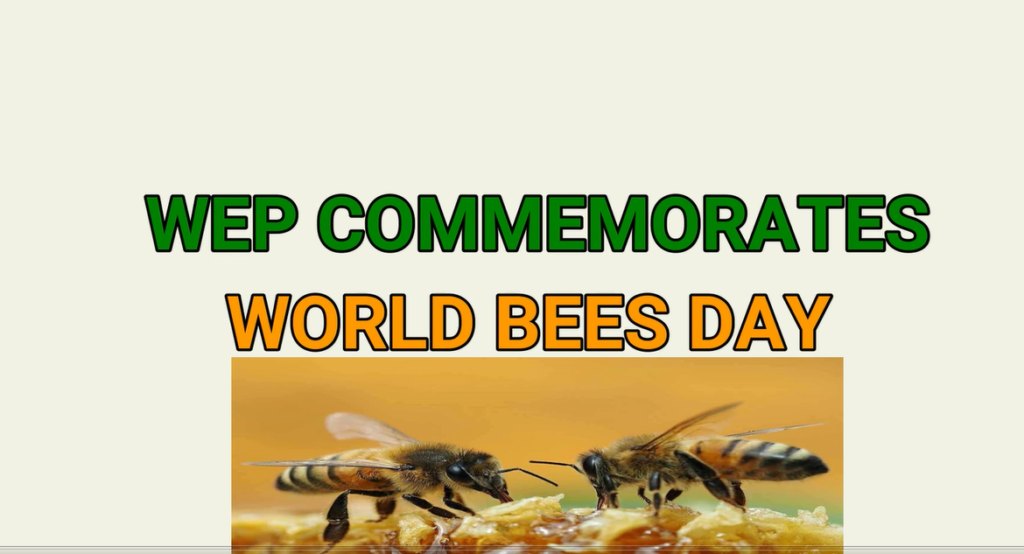 WEP COMMEMORATES WORLD BEE DAY 2020