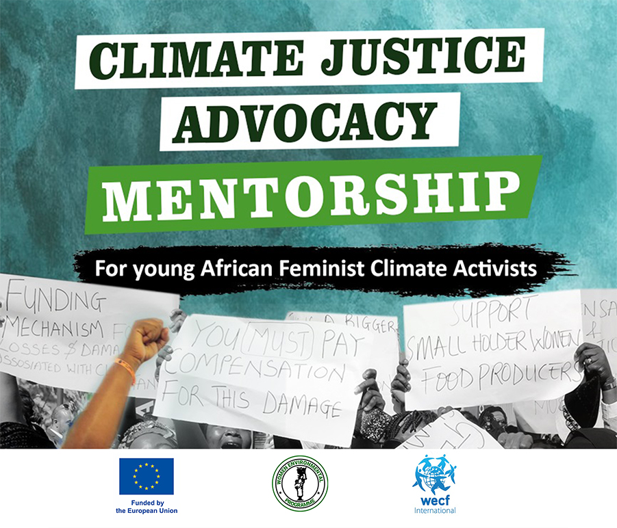 Climate Justice Advocacy Mentorship for young African feminist climate activists