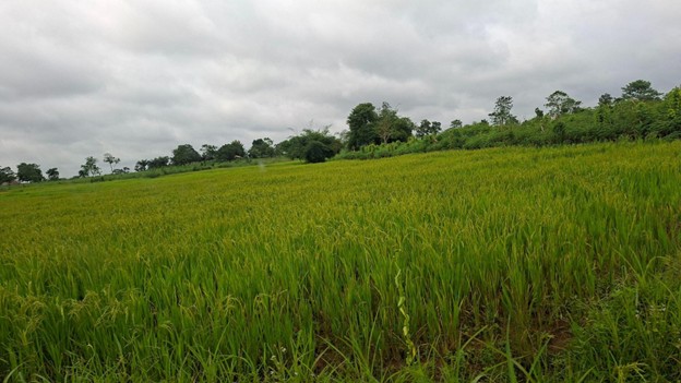 Weathering the floods 2 - GLA Ebonyi